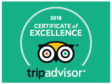excellence-trip-advisor-tenerife-the-best-boat