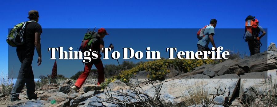 Things To do in Tenerife