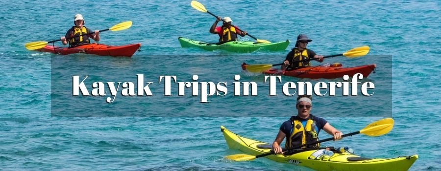 Kayak Trips in Tenerife